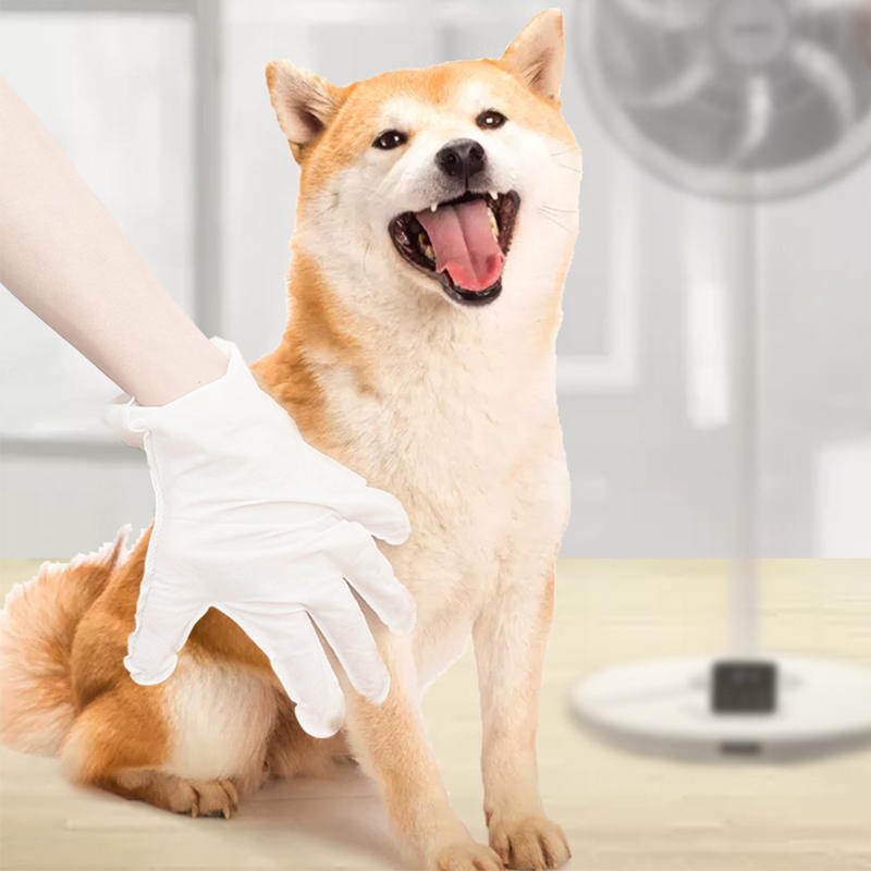 Is It Good To Use Disposable Non-Woven Gloves For Pets?