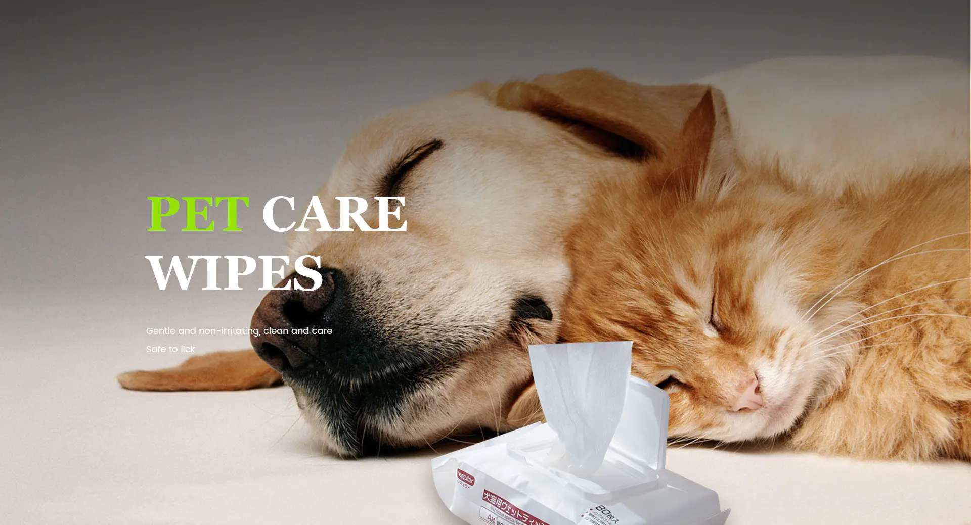 Pet Wipes